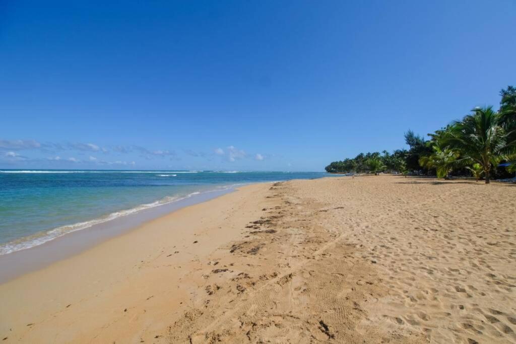 לאס טרנאס Palmeraie Terrenas Beach Apartamento מראה חיצוני תמונה